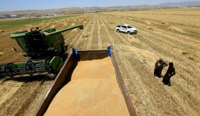 پارەی زیادەی گەنمی جوتیارانی هەرێم دابەش دەکرێت