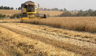 هەفتەی داهاتوو شایستەی داراییەکانی جوتیاران دەگاتە هەرێم