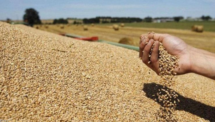 بەرهەمی گەنمی ئەمساڵی عێراق دوو هێندەی ساڵی رابردووە