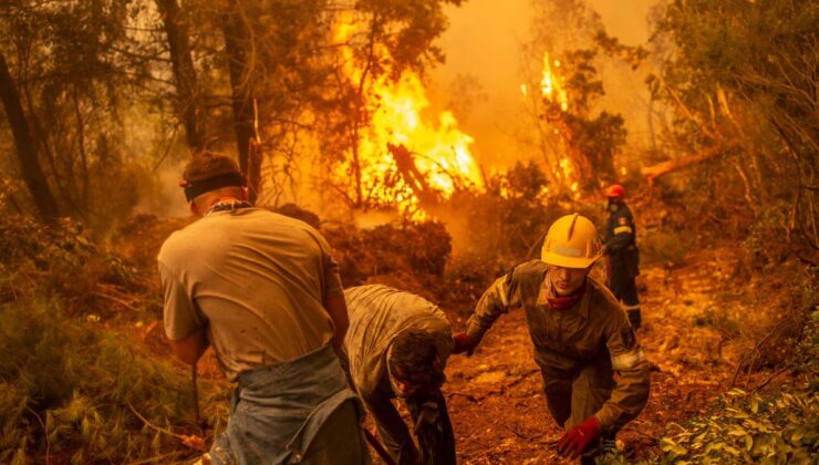 تەرمی 18 کەس لە دارستانەکانی یۆنان بە سووتاوی دۆزرانەوە