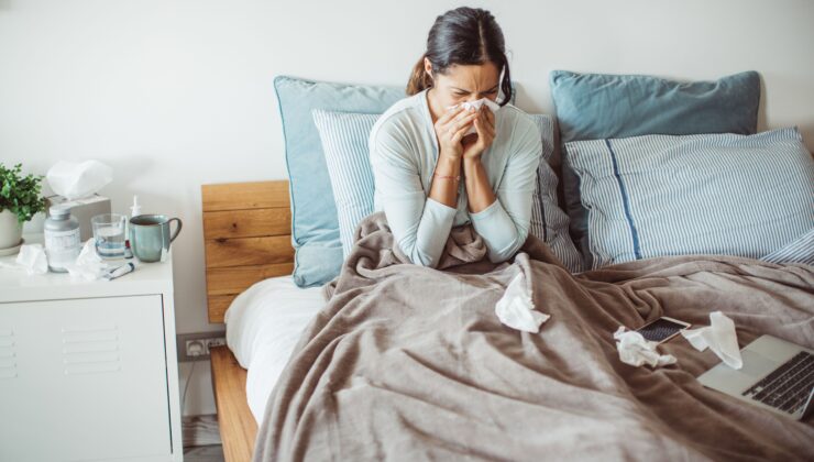 پەتاکانی بەهاری ڕوو لە زیادبوون کردووە