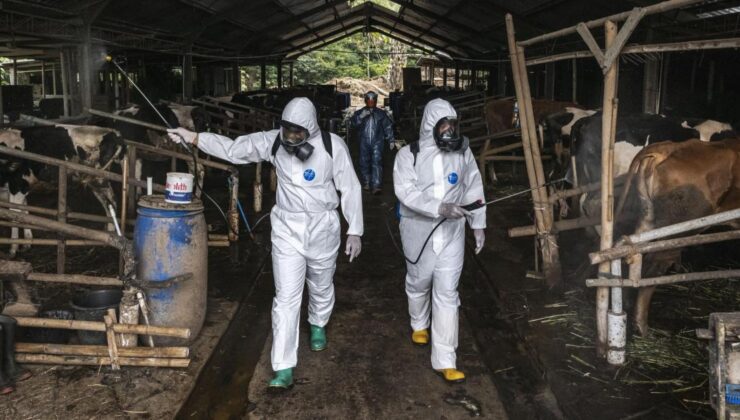 سەرۆکی لیژنەی تەندروستی : حکومەتی عێراق لە بەرەنگاربوونەوەی تای خوێنبەربوون لاوازە