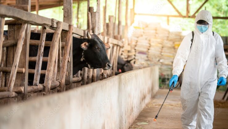 تووشبووێکی دیکەی تای خوێنبەربوون لە هەولێر (ئەربیل) تۆمارکرا