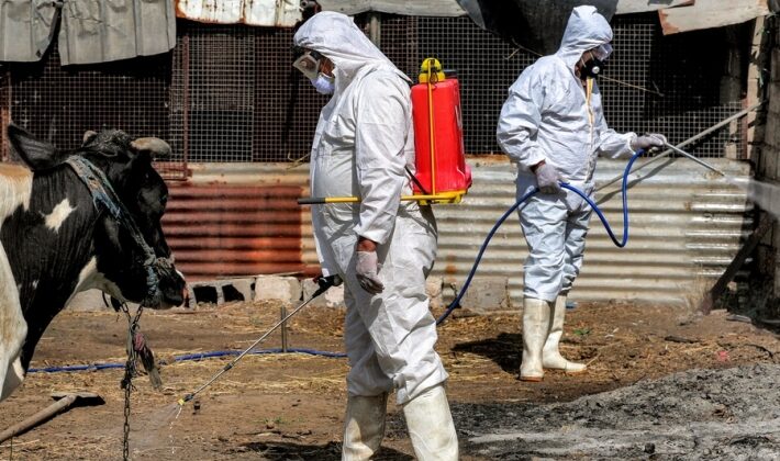 یەکەم حاڵەتی تووشبوون بە تای خوێنبەربوون لە زاخۆ تۆمار کرا