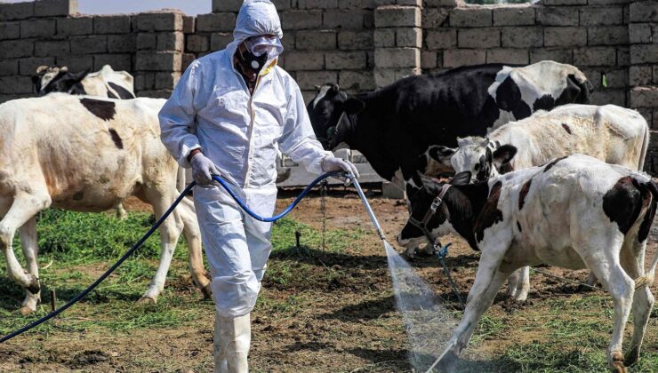 ئافرەتێکی تەمەن شەستەکان بەهۆی تای خوێنبەربوون لە نەجەف كۆچی دوایی كرد