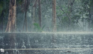 کەشناسی: ئەمڕۆ و سبەی باران دەبارێت